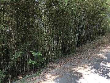 卓蘭雙連農地卓蘭農地達人