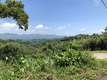 卓蘭雙連臨路農地 卓蘭農地達人