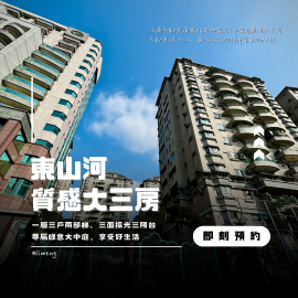 東山河質感大三房