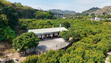 屏東推薦房仲-《專約》高雄·里嶺大橋荔枝園