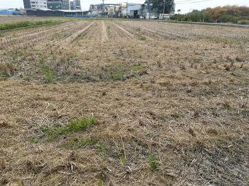 節稅投資8米路夏田產業土地