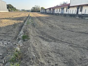 節稅投資10米路大里三期土地