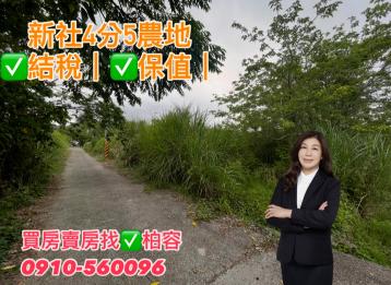 新社中興嶺4分5平坦美農地I柏容