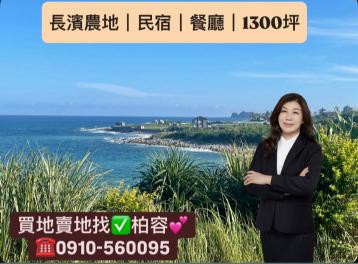 台東長濱鄉東海岸景觀農地