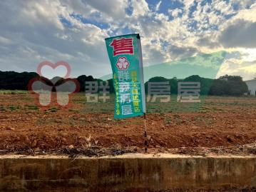 台中清水區東山段田地 員林買房