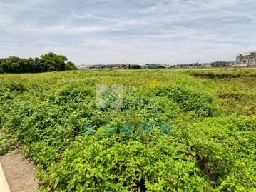 新豐雙臨路美田