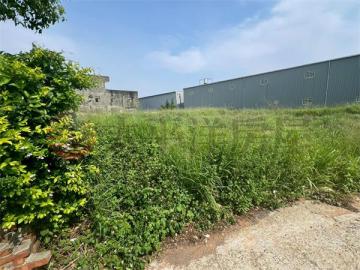 遊園路大面寬農地