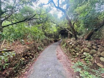 近弘光低總價持分保護地