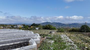 新社中和街農地A