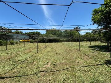 台南房仲小蓉 明興路有水電路都內農地D