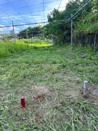 台南房地達人 明興路有水電路都內農地B