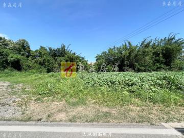 金寧鄉桃園路大馬路邊農地出租 金門房屋土地