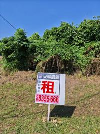 琉球坪數好利用美地出租 琉球房地女神