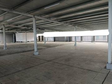 林口漂亮企業總部   新北廠房倉庫