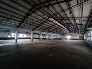 大溪大腹地廠房(可分租)  新北廠房倉庫