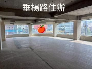 嘉義農建地 垂楊路玉山銀行對面住辦出租