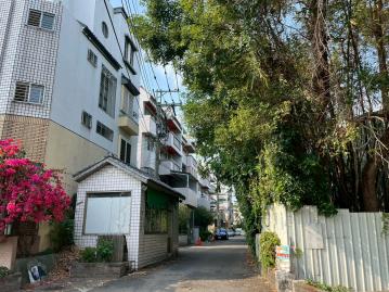 74道/洲際漢神/綠意招財透天別墅