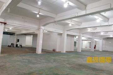 鶯歌近三鶯橋廠房【06659】