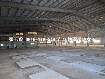 出租 新屋後庄大地坪農地廠房8米路 桃園房地女王