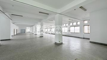 R514-五股稀有釋出大坪數廠房【雙成工商不動產】新北廠房租售